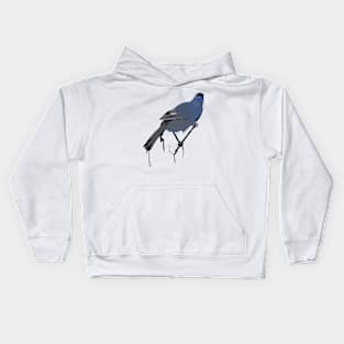 Kokako Kids Hoodie